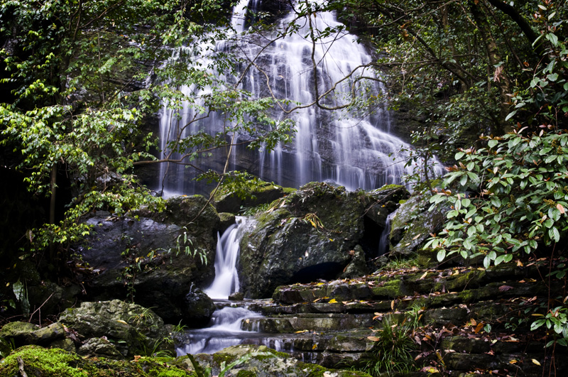 DSC_6293-1.jpg