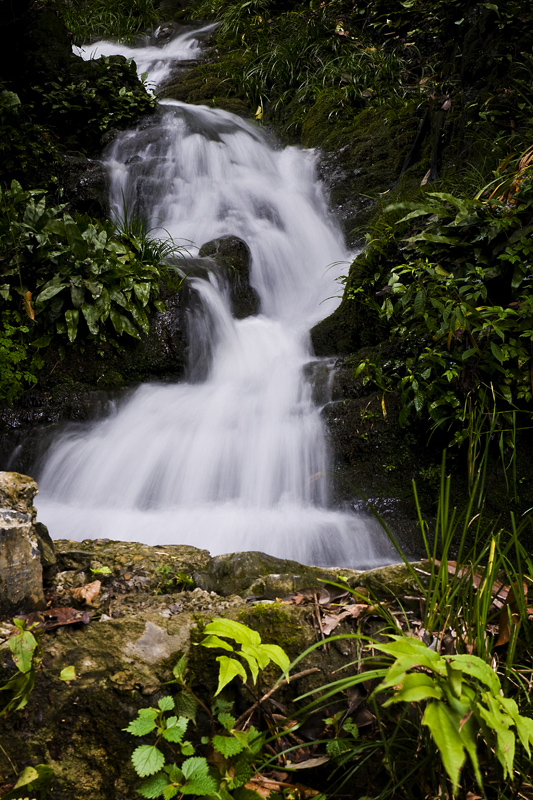 DSC_6313-1.jpg