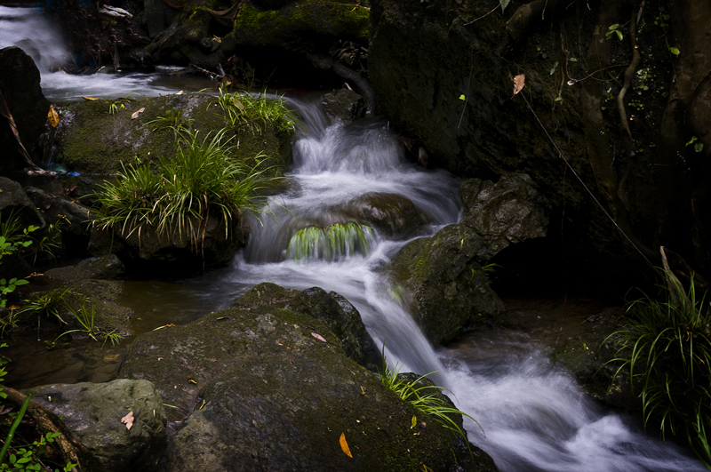 DSC_6306-1.jpg