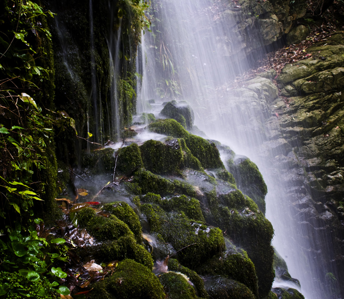 DSC_6319-1.jpg