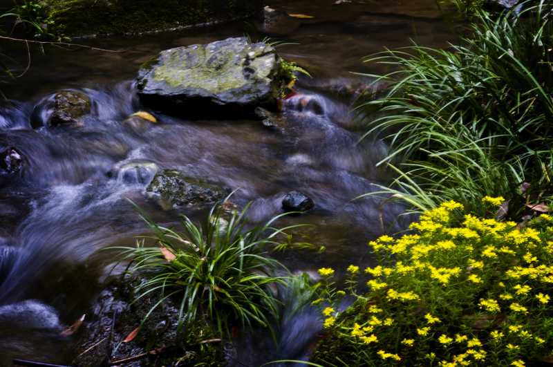 DSC_6317-1.jpg