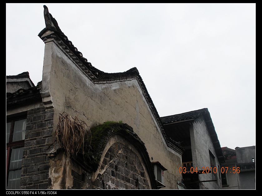 DSCN8235.jpg