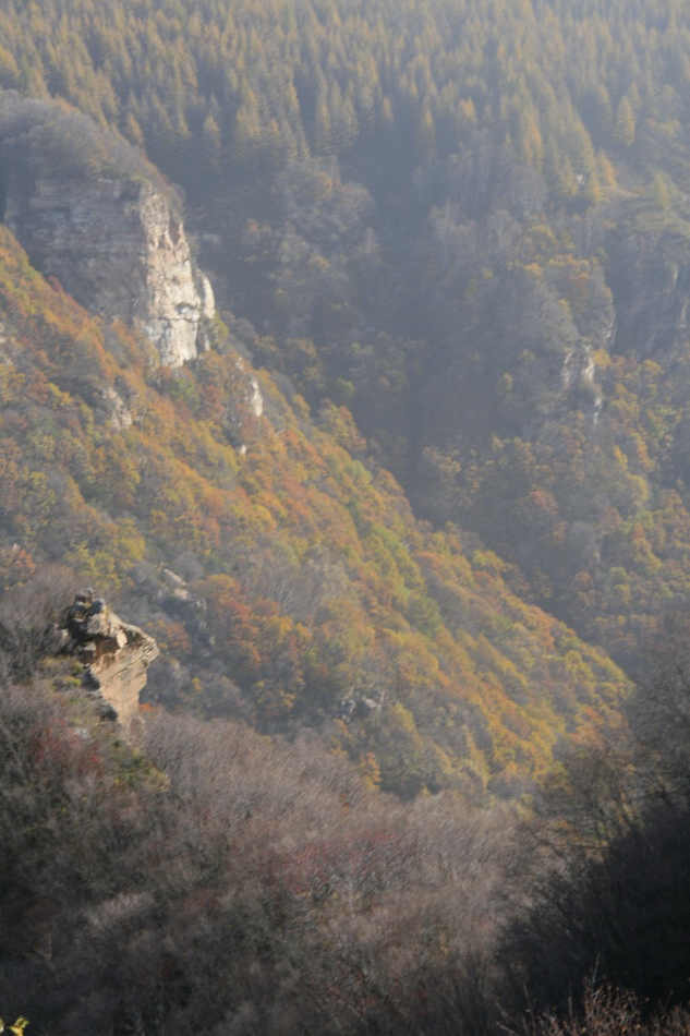 _MG_1757_��С��С.jpg
