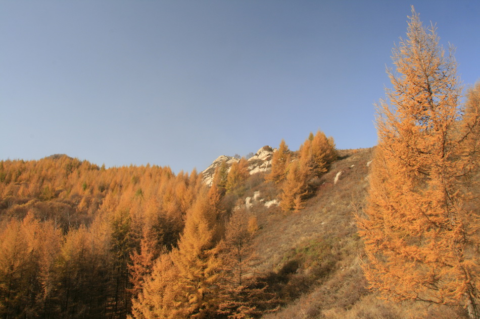 _MG_1773_��С��С.jpg