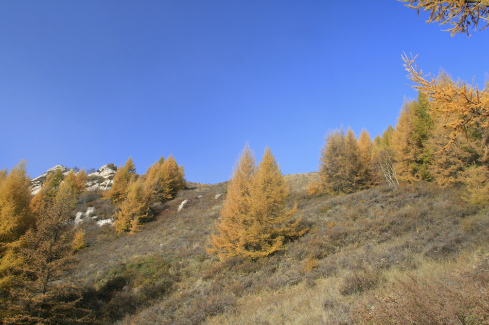 _MG_1775_��С��С.jpg