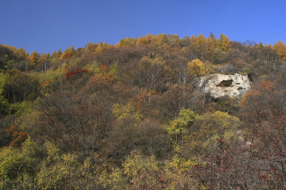_MG_1790_��С��С.jpg