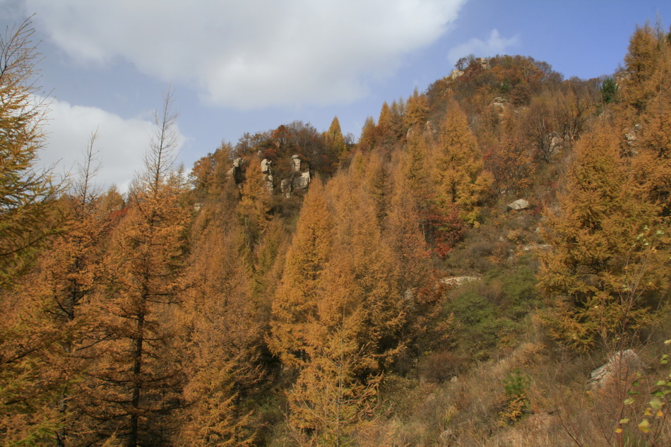 _MG_1798_��С��С.jpg