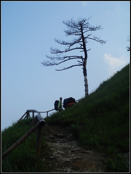 nEO_IMG_DSC06169.jpg