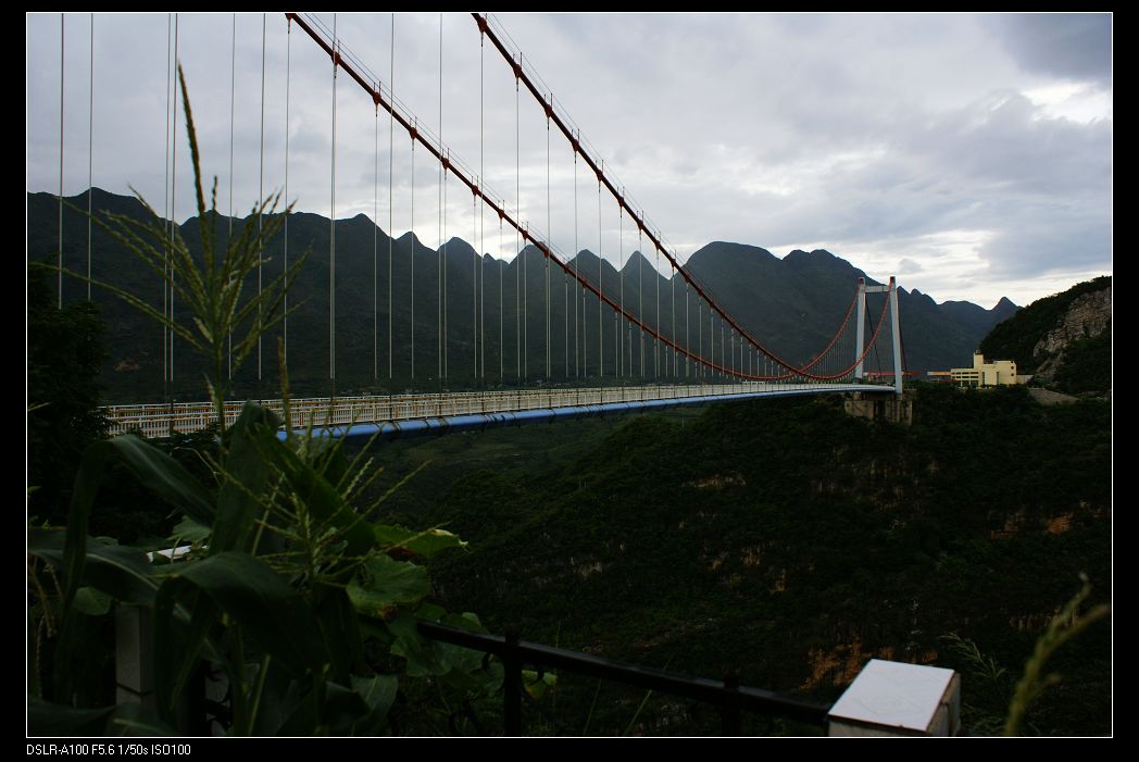 nEO_IMG_DSC05206.jpg