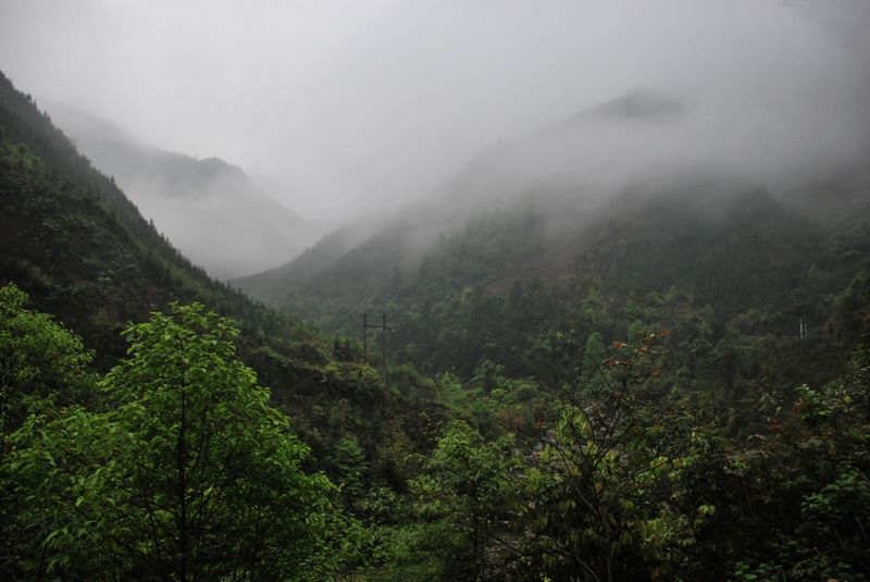 DSC_0110.JPG