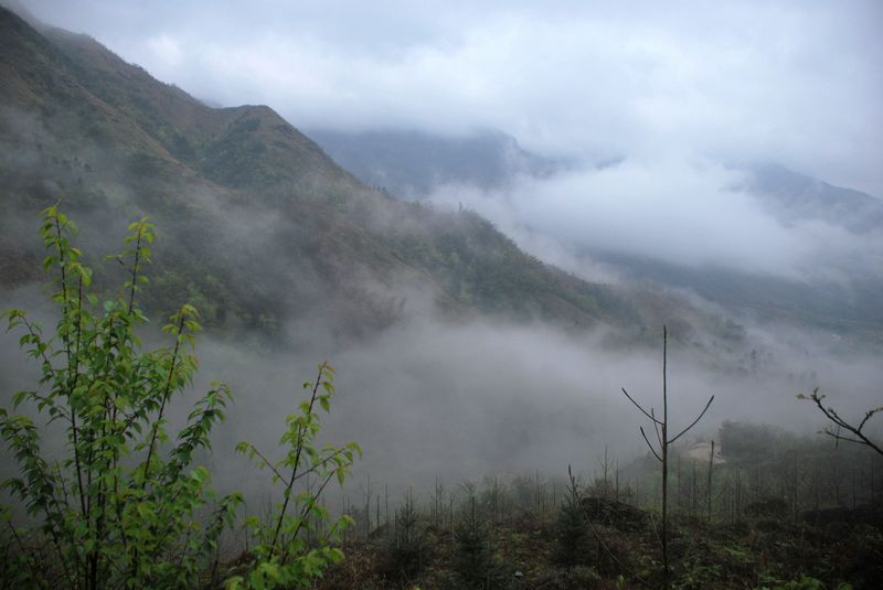 DSC_0166.JPG