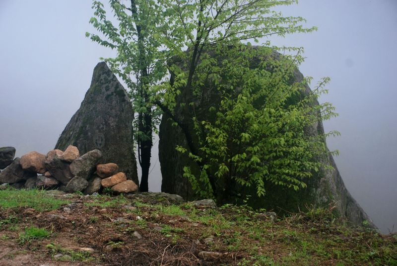 DSC_0169.JPG