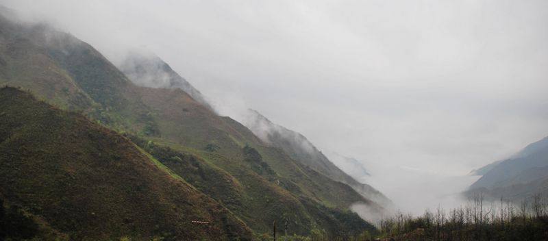 DSC_0195.JPG