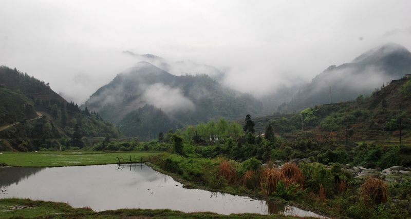 DSC_0351.JPG