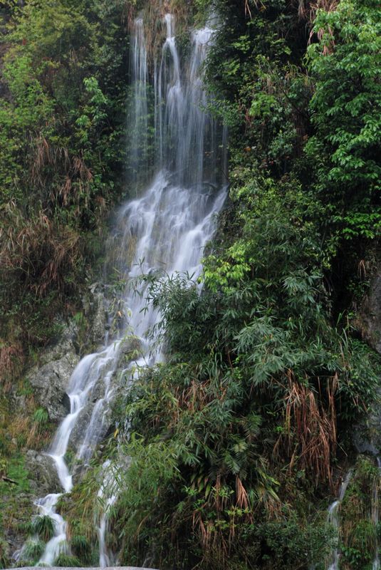 DSC_0363.JPG