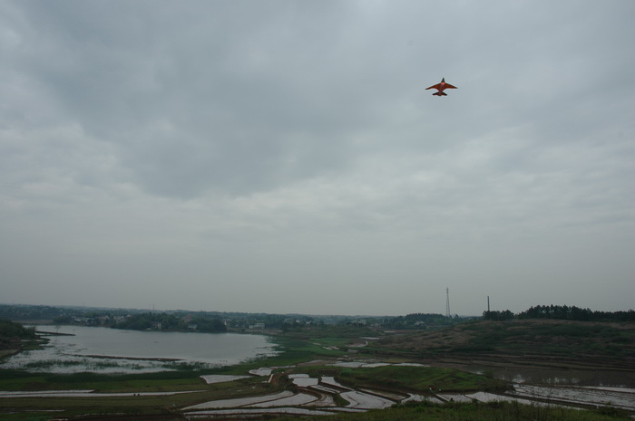 DSC_2382_��С��С.JPG