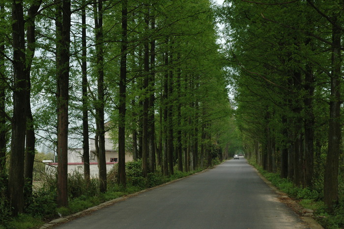 DSC_2490_��С��С.JPG