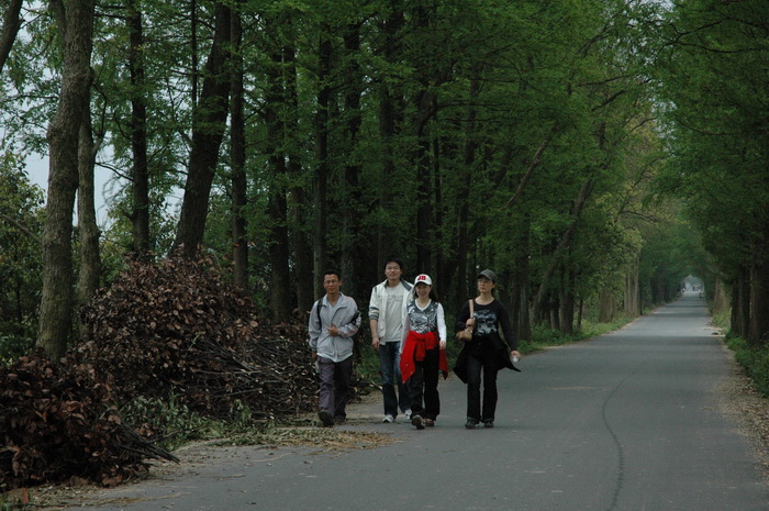DSC_2514_��С��С.JPG