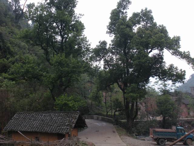 ������С 2010327��Ƭ 251.jpg