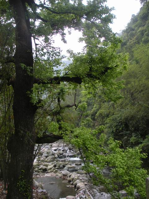 ������С 2010327��Ƭ 029.jpg