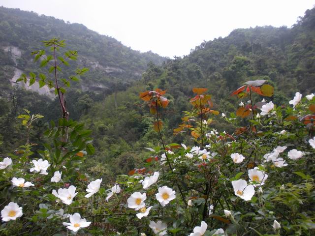 ������С 2010327��Ƭ 245.jpg