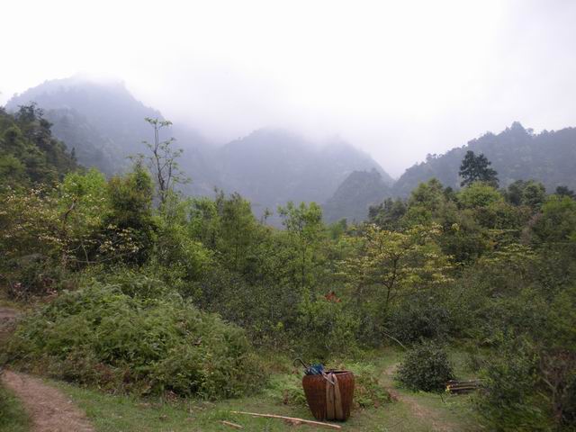 ������С 2010327��Ƭ 222.jpg