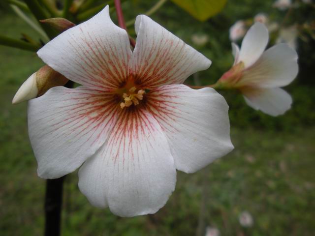 ������С 2010327��Ƭ 213.jpg