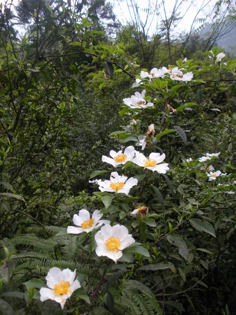 ������С 2010327��Ƭ 215.jpg