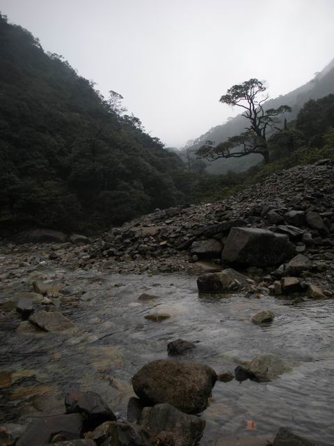 ������С 2010327��Ƭ 124.jpg