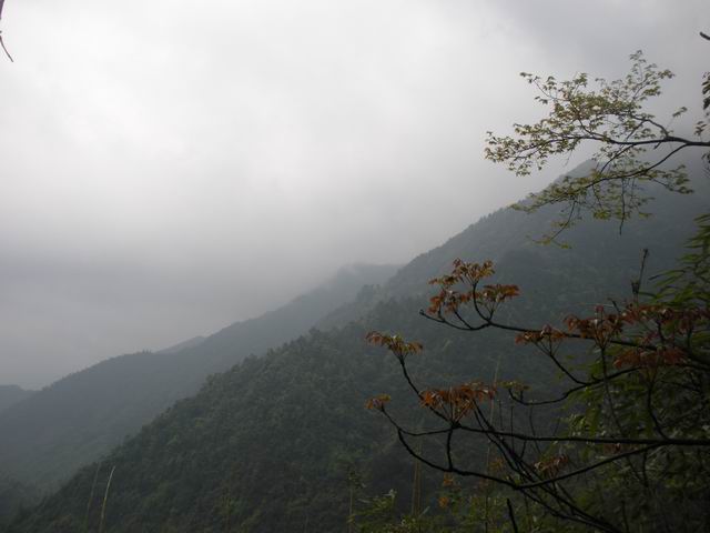 ������С 2010327��Ƭ 175.jpg