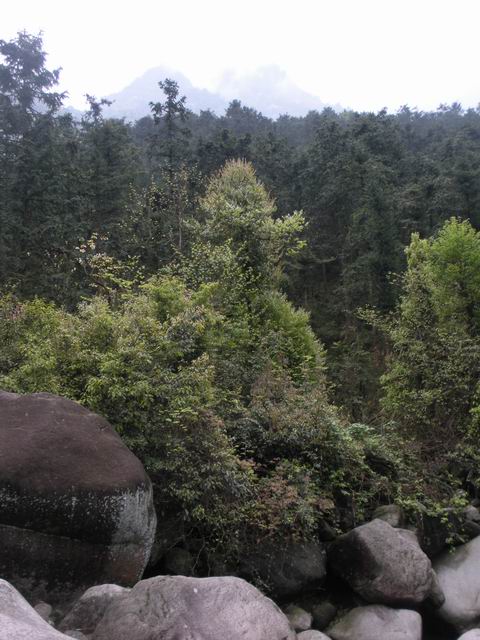 ������С 2010327��Ƭ 194.jpg