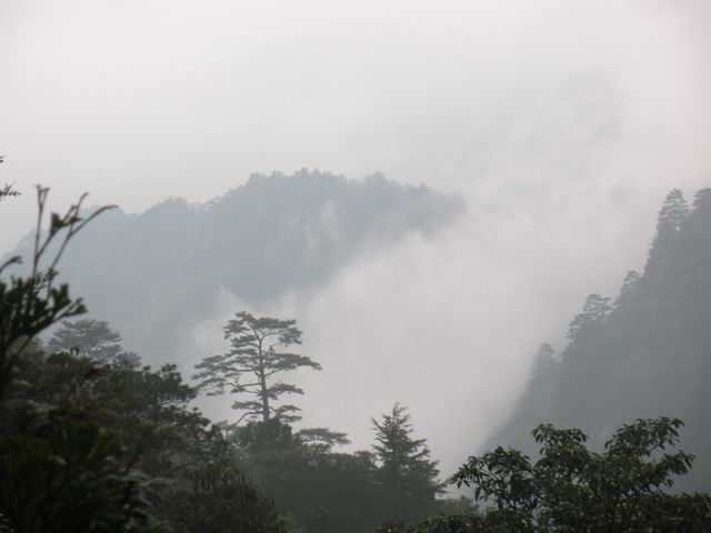 ������С 2010327��Ƭ 148.jpg