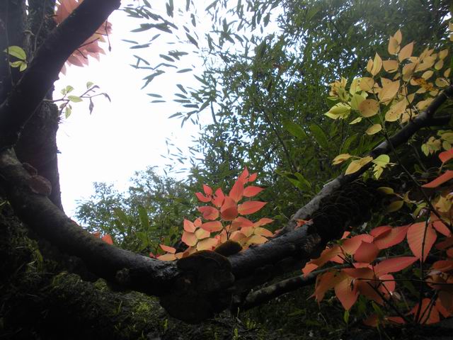 ������С 2010327��Ƭ 160.jpg
