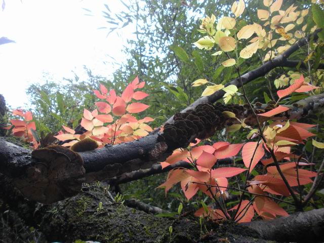 ������С 2010327��Ƭ 158.jpg