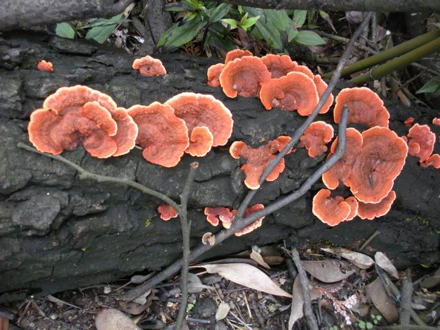 ������С 2010327��Ƭ 167.jpg
