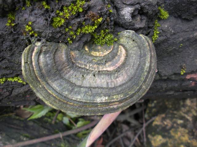 ������С 2010327��Ƭ 170.jpg