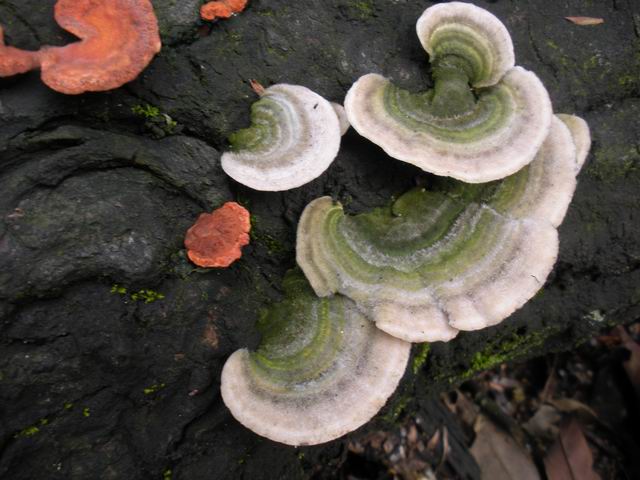 ������С 2010327��Ƭ 173.jpg