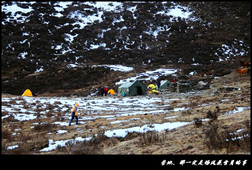 DSC_1362.JPG