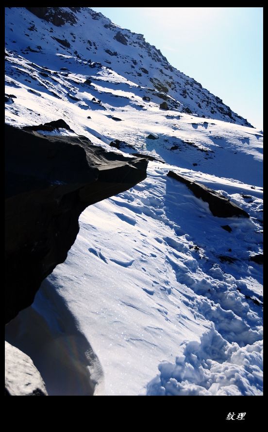 DSC_1504.JPG