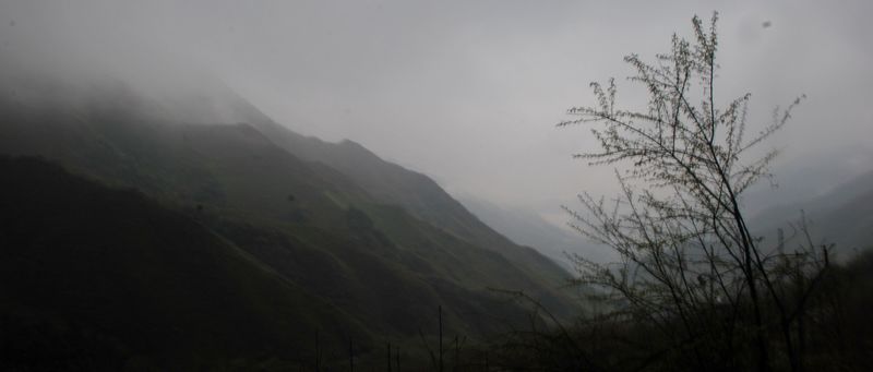 DSC_0282.JPG