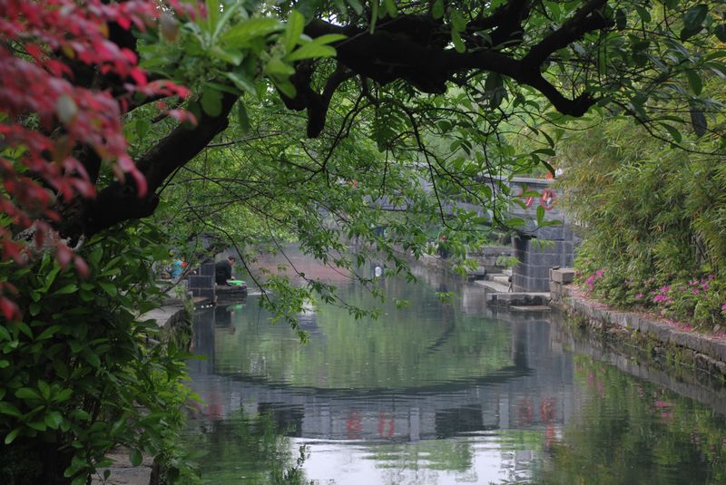 DSC_0506.JPG