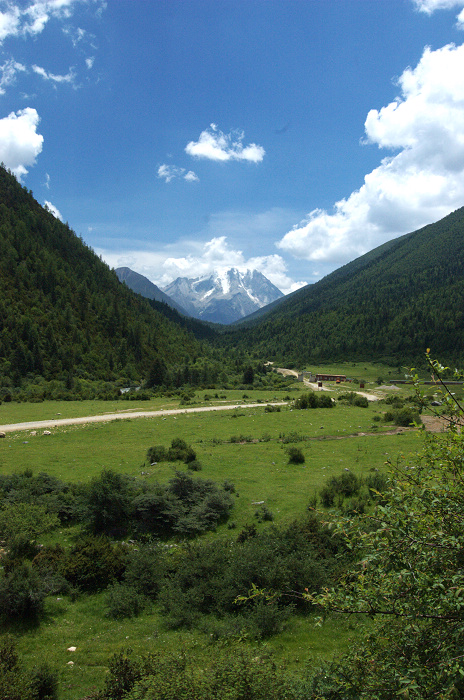 DSC_4594.jpg