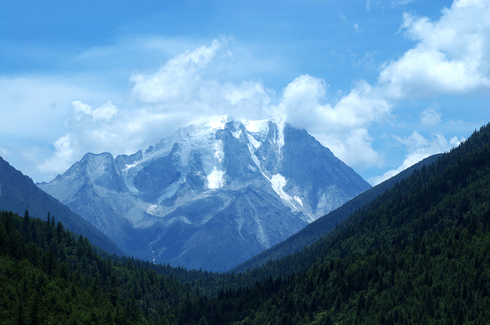 DSC_4610.jpg
