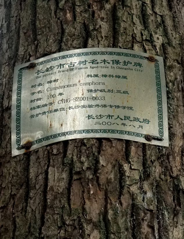 shu1a(001).jpg