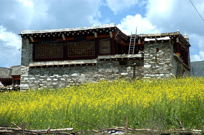 DSC_4661.jpg
