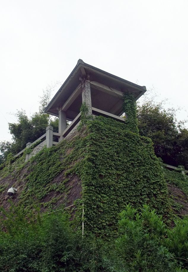 DSCF0232(001).jpg