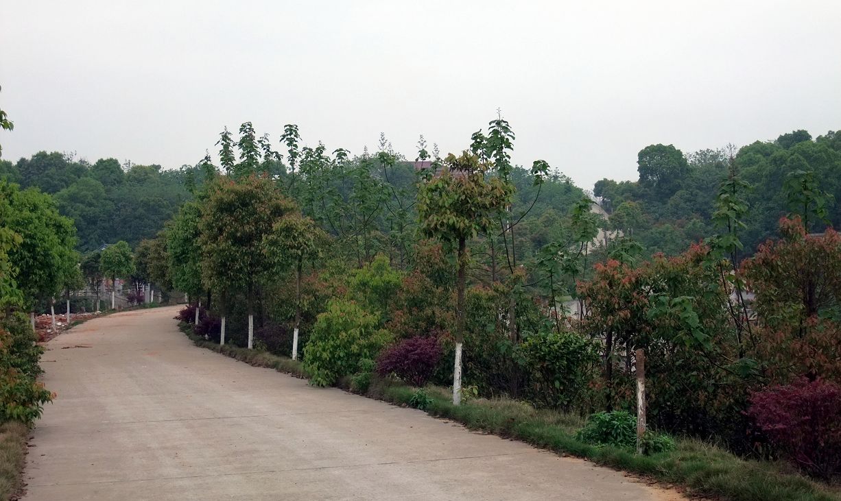 xiao2(001).jpg