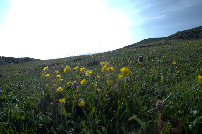 DSC_4779.jpg