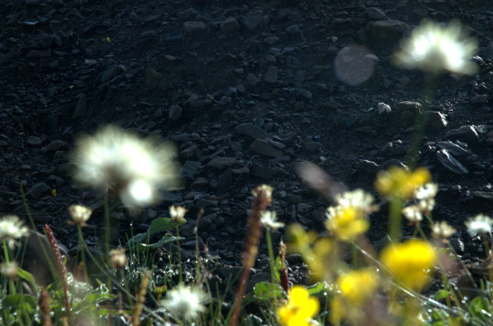 DSC_4789.jpg