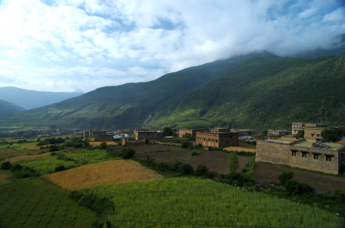 DSC_5036.jpg